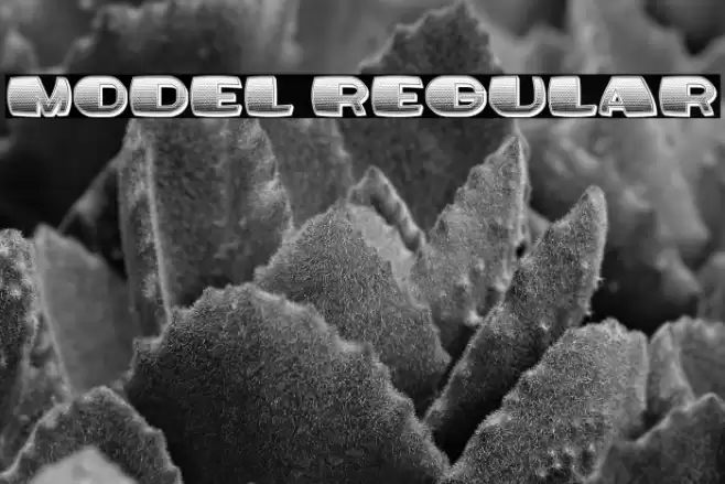 Model Regular Font examples