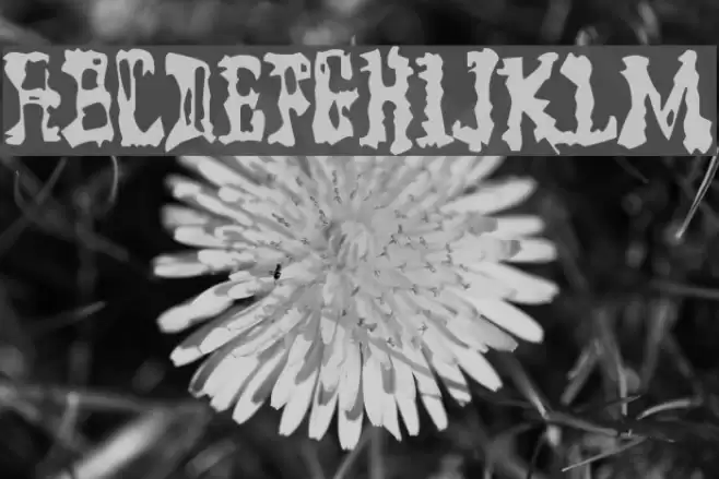 Model Worker Font examples