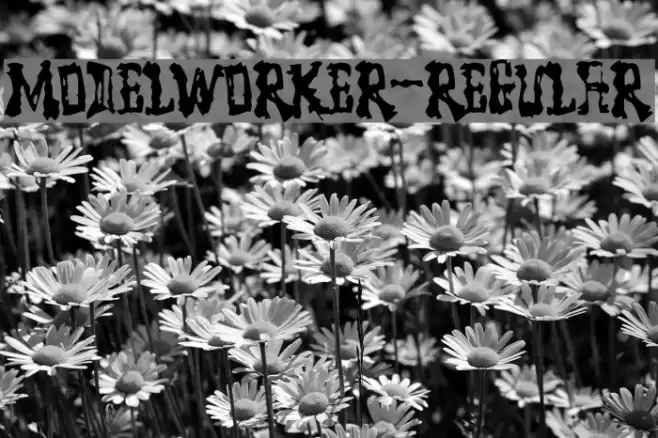 ModelWorker-Regular Font examples