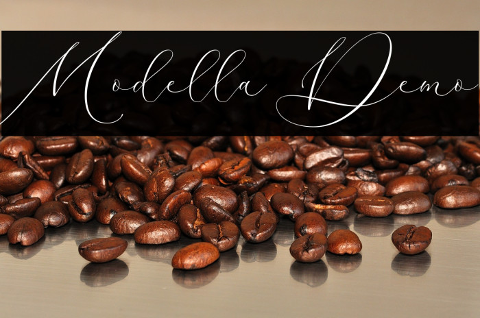 Modella Demo Example 1