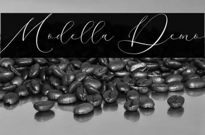 Modella Demo Example 1