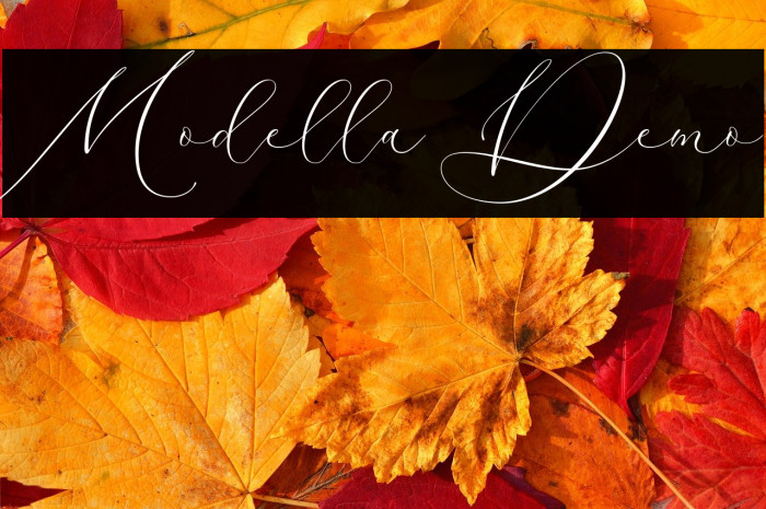 Modella Demo Example 2