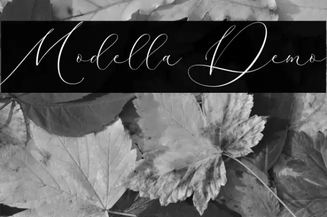 Modella Demo Example 2