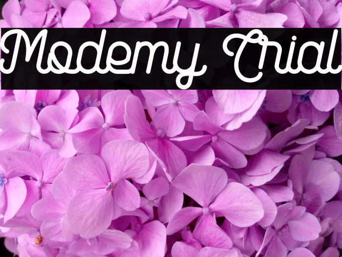 Modemy Trial Example 1