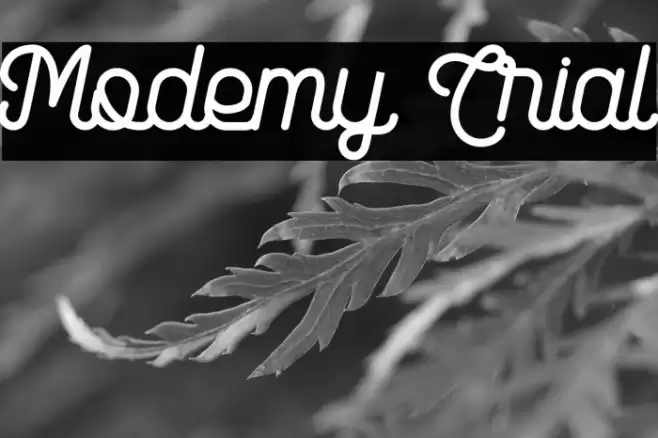 Modemy Trial Fuentes examples