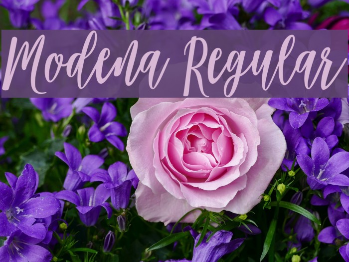 Modena Regular Font examples