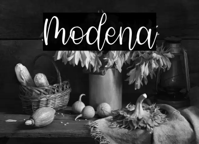 Modena Font examples