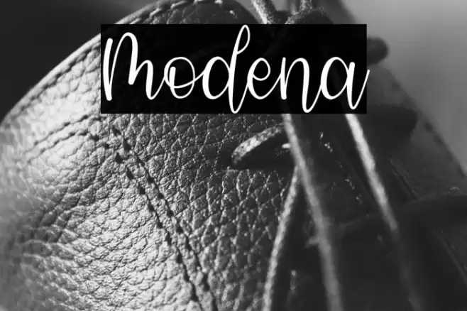 Modena Font examples