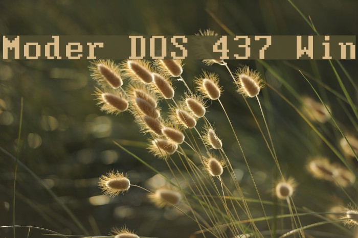 Moder DOS 437 Win Font examples