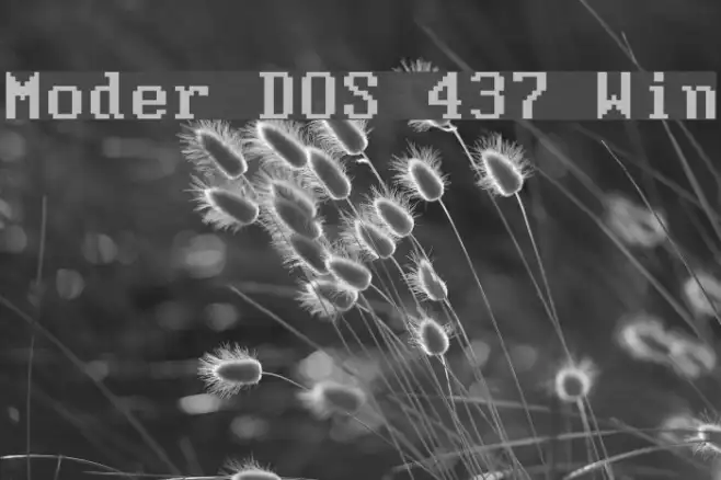 Moder DOS 437 Win Example 2