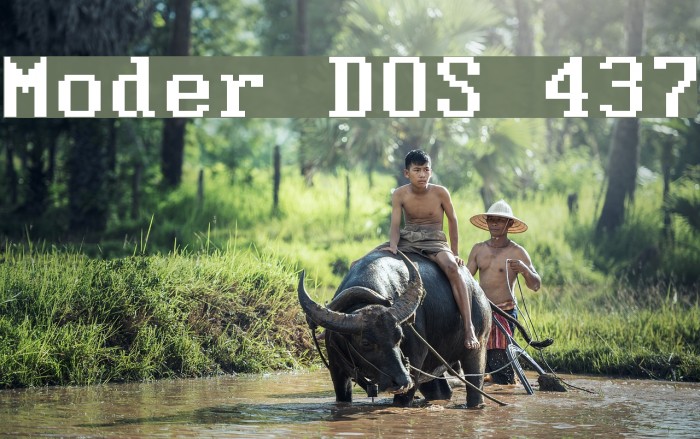 Moder DOS 437 Font examples