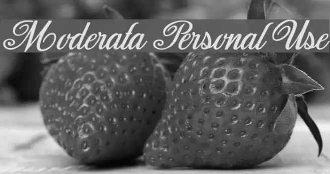 Moderata Personal Use Шрифта examples