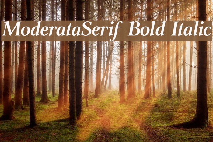 ModerataSerif Bold Italic Font examples