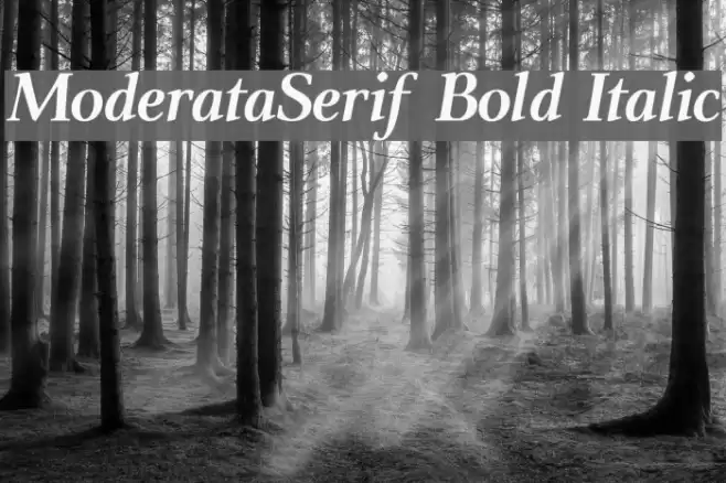 ModerataSerif Bold Italic フォント examples