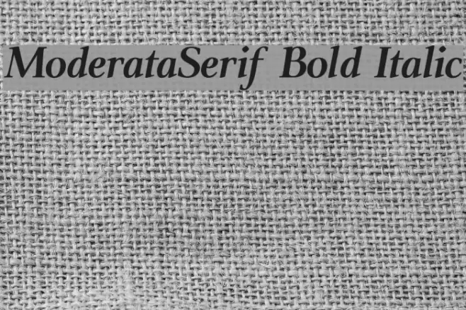 ModerataSerif Bold Italic フォント examples