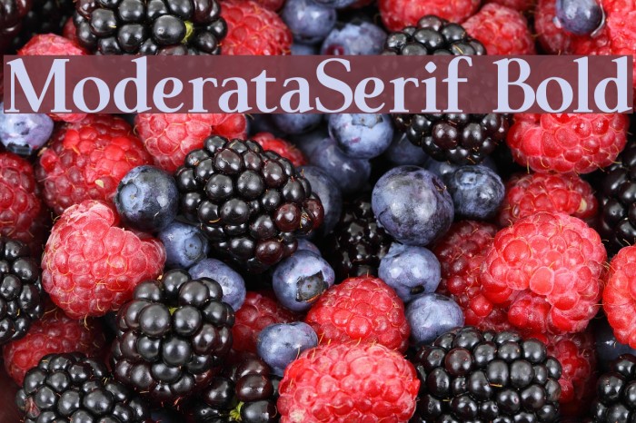 ModerataSerif Bold Font examples