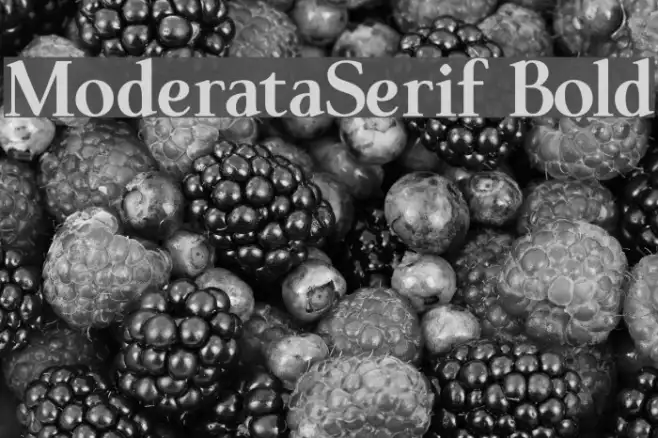 ModerataSerif Bold Example 1