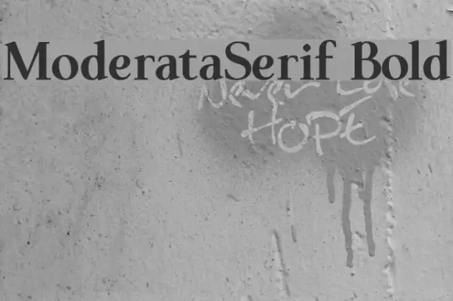 ModerataSerif Bold Example 3