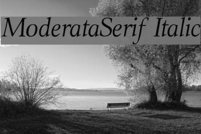 ModerataSerif Italic Font examples