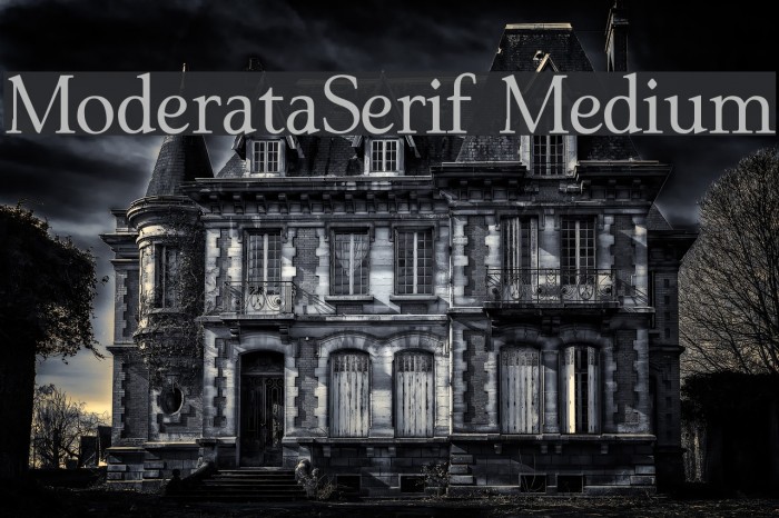 ModerataSerif Medium Font examples