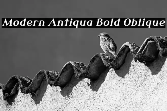 Modern Antiqua Bold Oblique خط examples