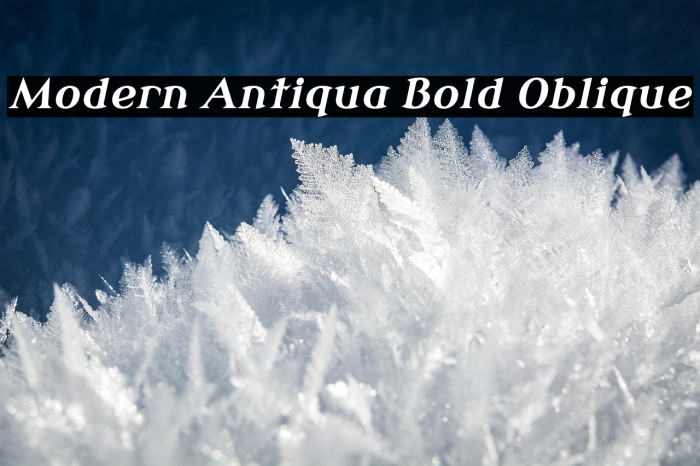 Modern Antiqua Bold Oblique Example 3