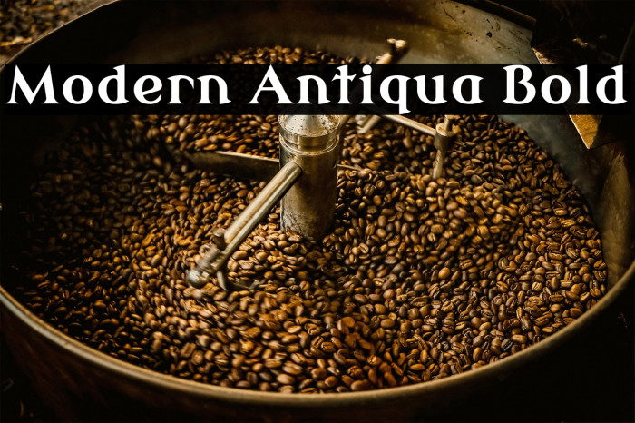 Modern Antiqua Bold Example 1