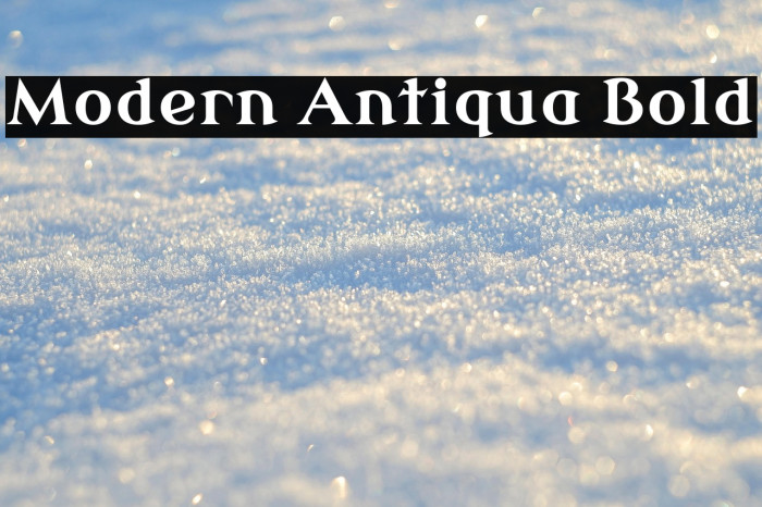 Modern Antiqua Bold Example 2
