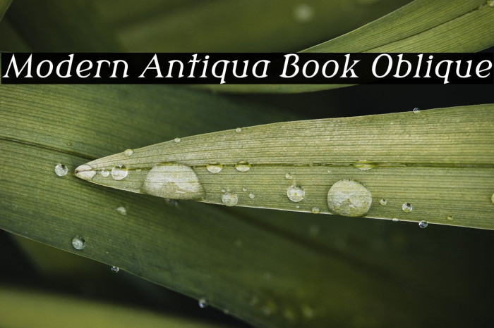 Modern Antiqua Book Oblique Example 3