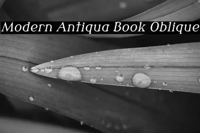 Modern Antiqua Book Oblique Fuentes examples