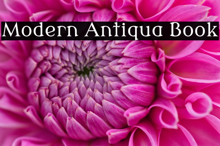 Modern Antiqua Book Example 1