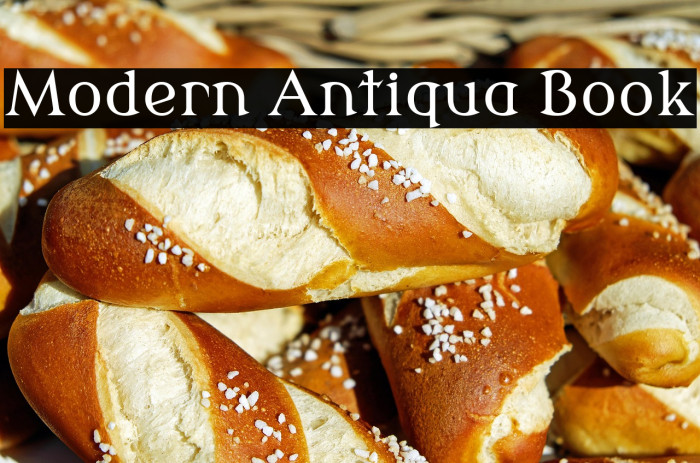 Modern Antiqua Book Example 3