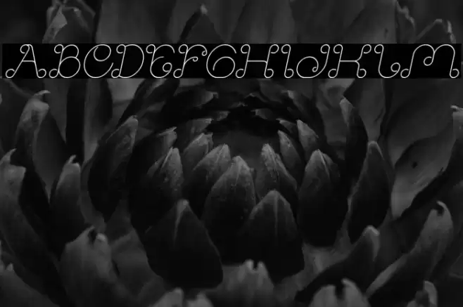 Modern Aristocrat Italic Font examples