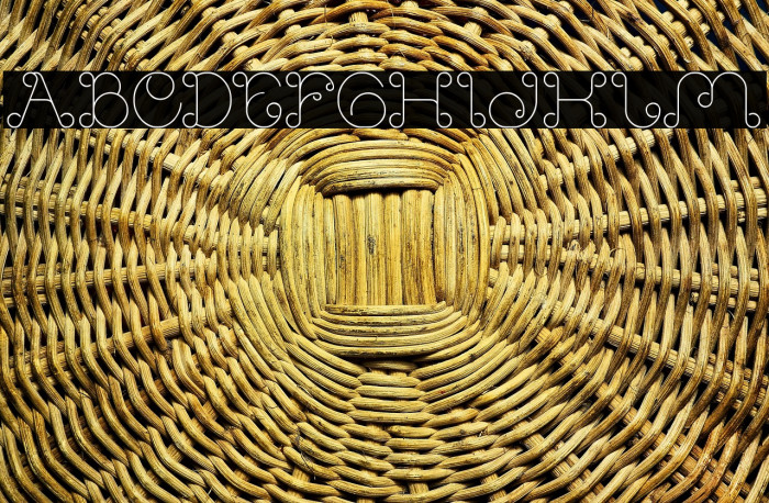 Modern Aristocrat Example 2