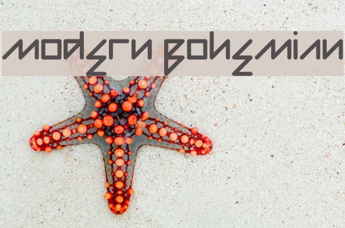 Modern Bohemian Example 1