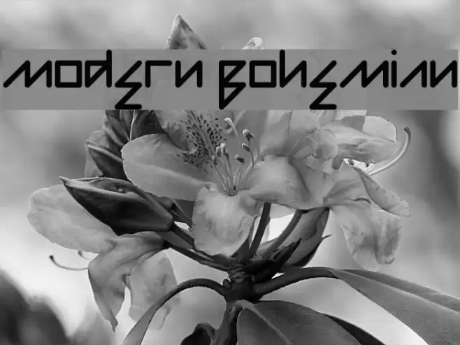 Modern Bohemian Font examples