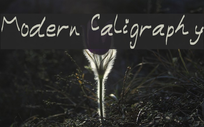 Modern Caligraphy Font examples