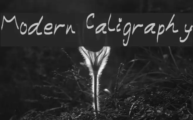 Modern Caligraphy Example 2
