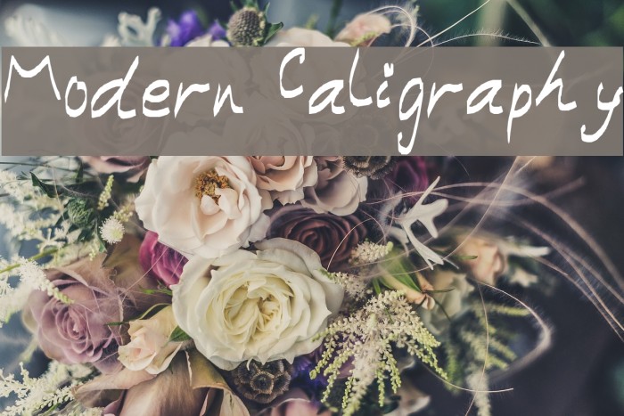 Modern Caligraphy Font examples