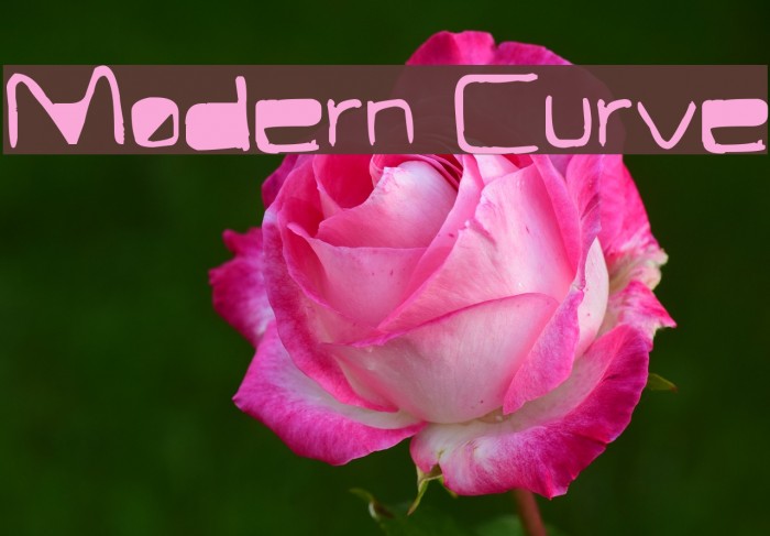 Modern Curve Font examples