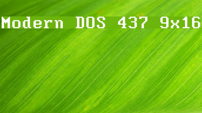 Modern DOS 437 9x16 Font examples