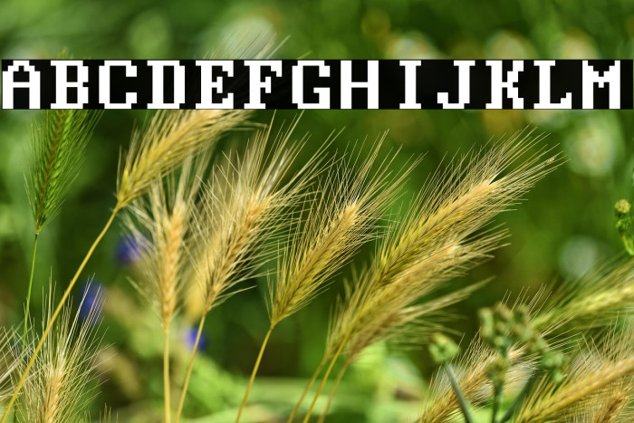 Modern DOS 9x14 Example 1