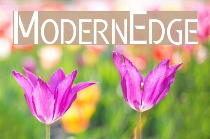 Modern Edge Font examples