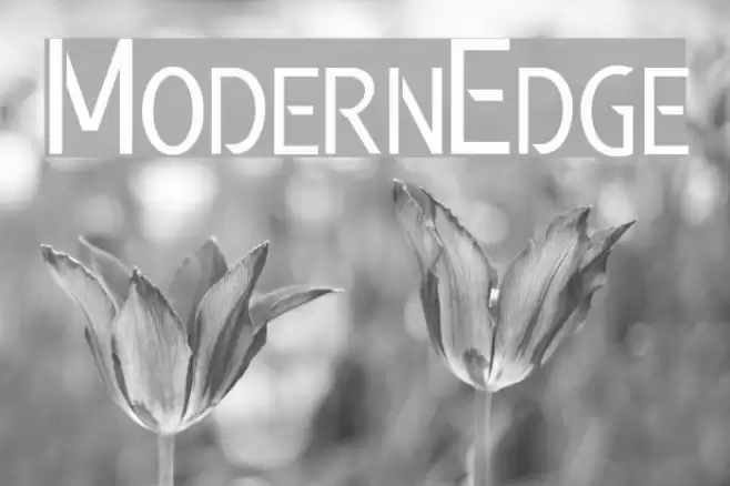 Modern Edge Font examples