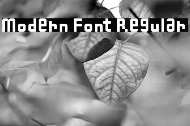 Modern Font Regular Font | Free Download (TTF/OTF) | FFonts.