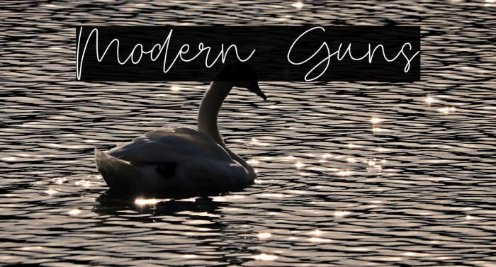 Modern Guns Example 1