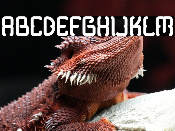 Modern Java Demo Example 3