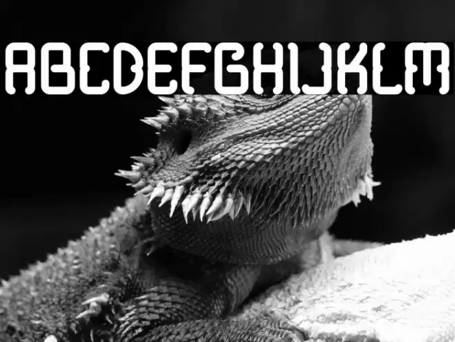 Modern Java Demo Font examples