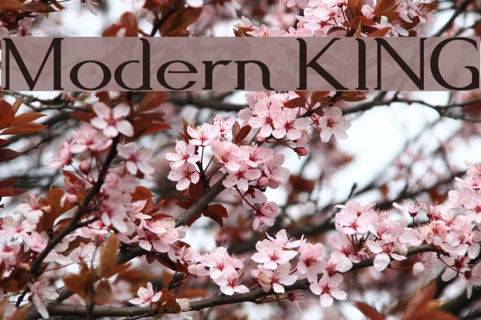 Modern KING Font examples
