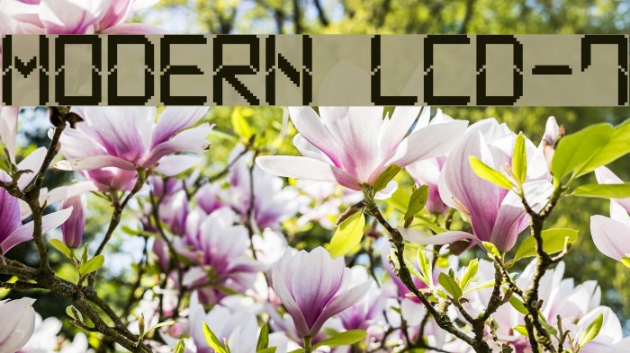 Modern LCD-7 Example 3